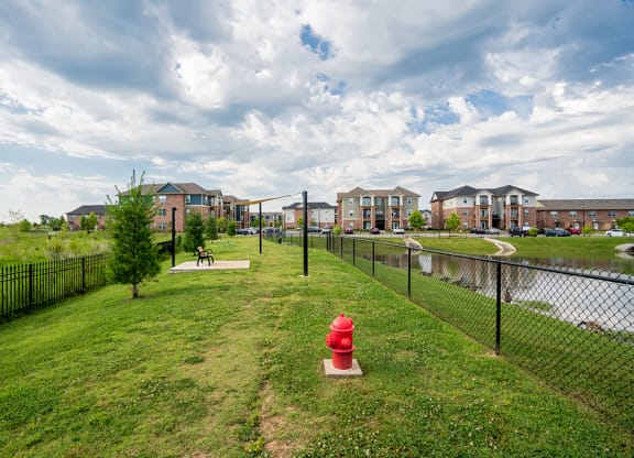 Dog Park Near Pond
