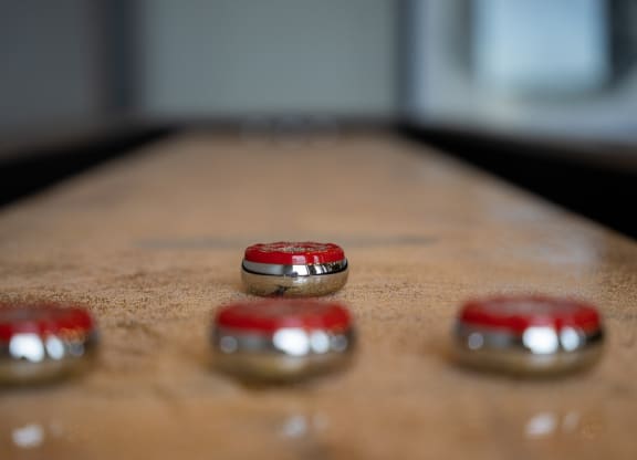 Shuffleboard Table
