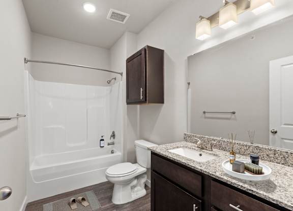 Bathroom with Modern Finishes