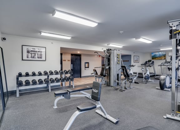 Free Weights and Strength Training Equipment