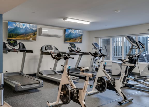 Cardio Equipment with Mounted Flat Screens