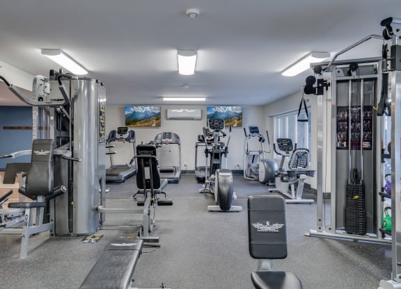 Strength Training Equipment at the Fitness Center
