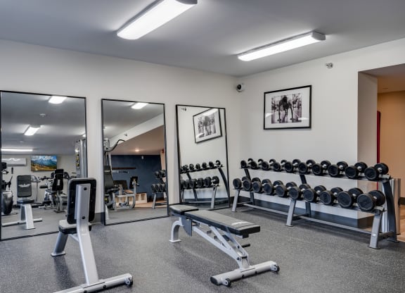 Weight Benches and Free Weights