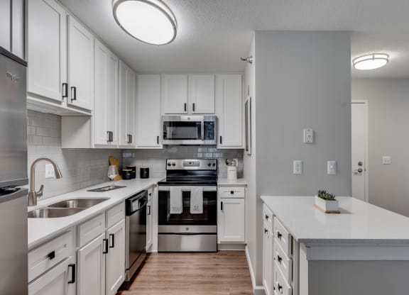 Kitchen With Premium Fixtures & Finishes