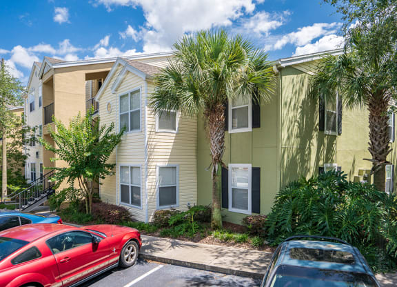 Large Palm Trees in Front of an Apartment Building