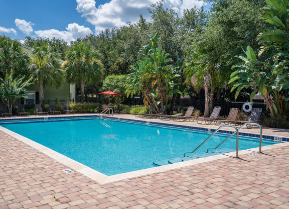 Expansive Pool Sundeck