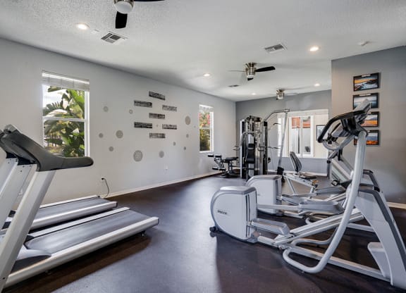 Cardio Equipment at the 24-Hour Fitness Center