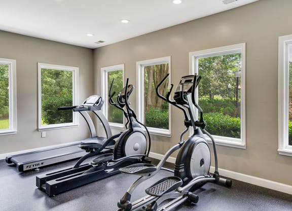 Fitness Area with Treadmill and Ellipticals