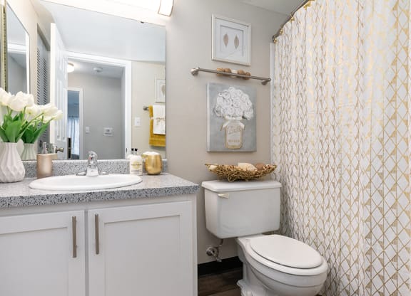 Bathroom with Hardwood Style Flooring and Large White Vanity with Stone Top
