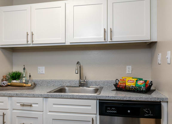 Kitchen with Stainless Steel Sink, Hardware and Appliances