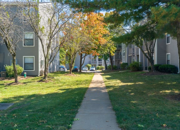 Walking Path through The Finn Community