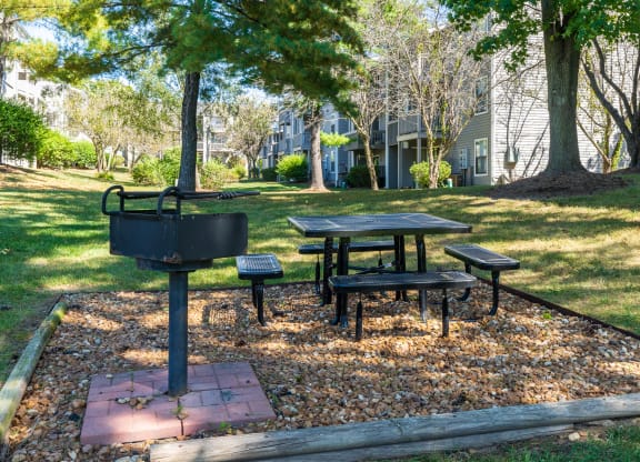 Outdoor Grilling and Picnic Area