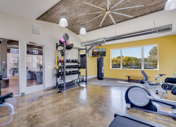 Free Weights at the Fitness Center