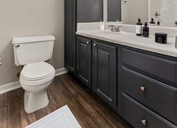 Bathroom with Modern Finishes