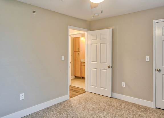 Bedroom with Plush Carpeting