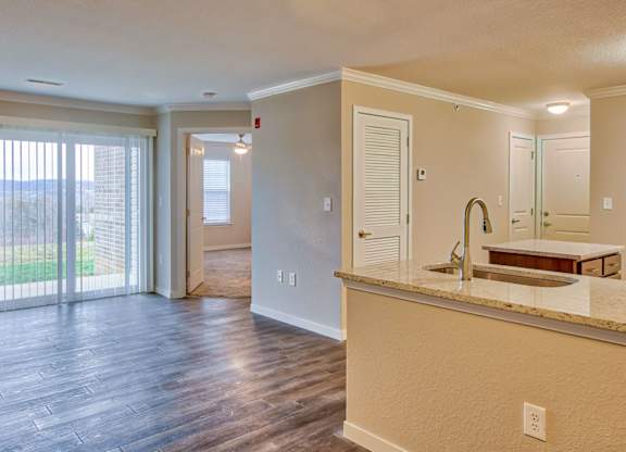 Kitchen with Wood-Style Flooring