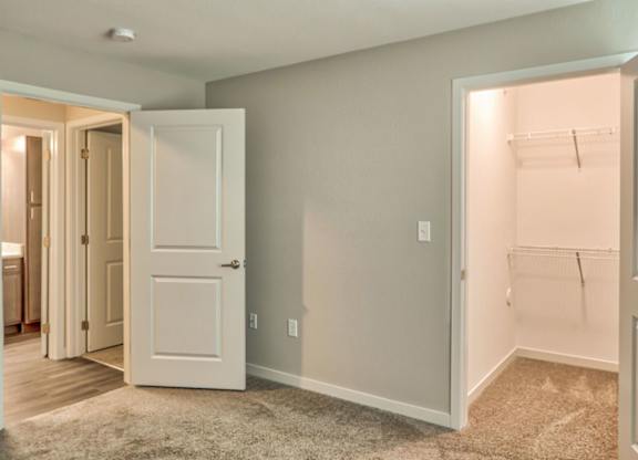 Bedroom With Walk-In Closet