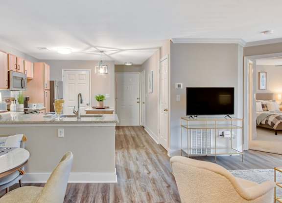 Living Room with Wood-Style Flooring