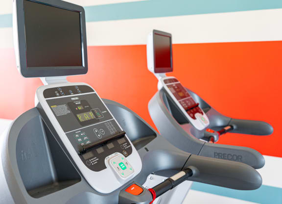 Cardio Equipment At The Fitness Center