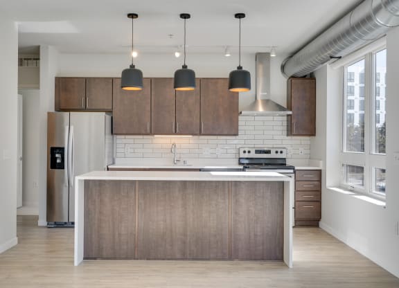 Kitchen with Premium Fixtures and Finishes