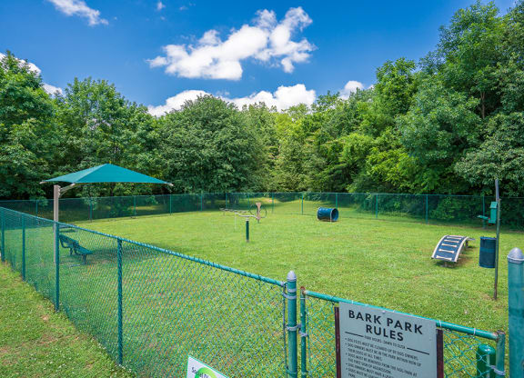 On-Premise Dog Park with Play Equipment