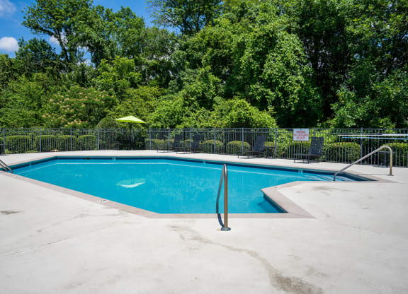 Sparkling Outdoor Pool