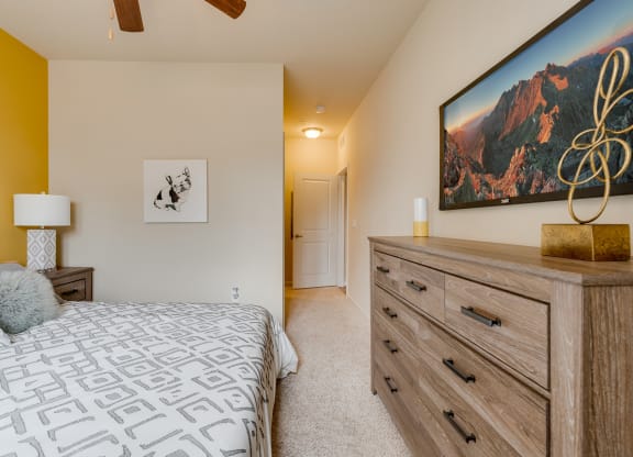 Bedroom With Plush Carpet