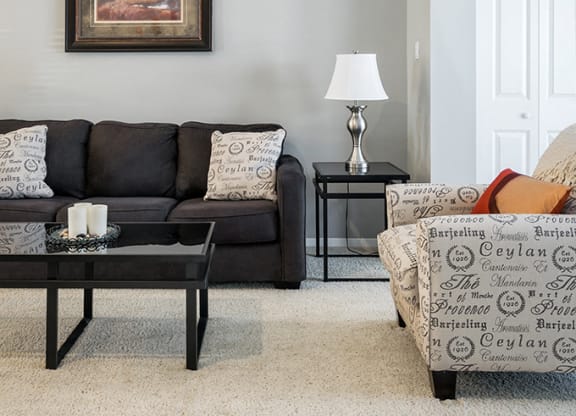 Carpeted Living Room with Light Grey Walls