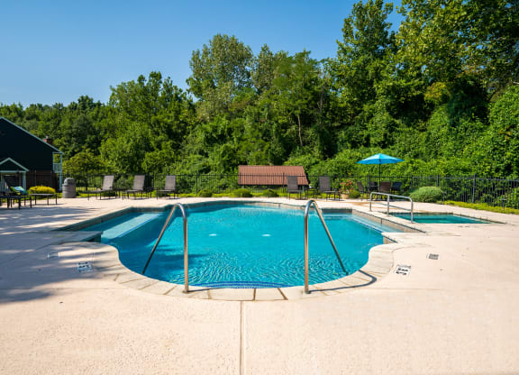 Spacious Pool & Sundeck With Lush Trees