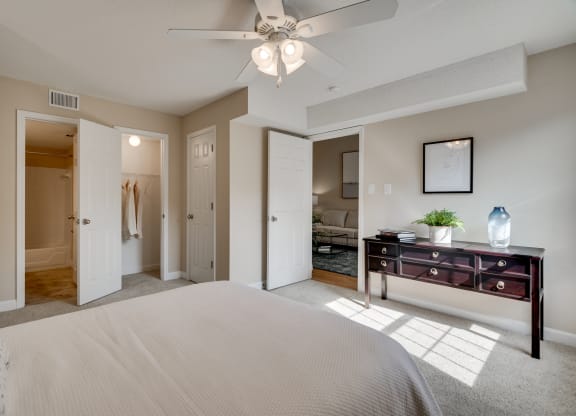 Bedroom With Attached Walk-In Closet & Bathroom