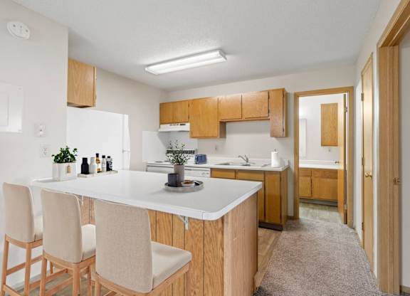 Kitchen with Wood Cabinets