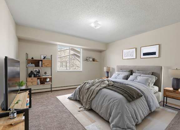 Bedroom with Plush Carpeting