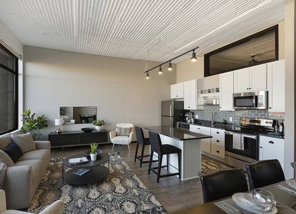 Open Concept Kitchen and Living Room