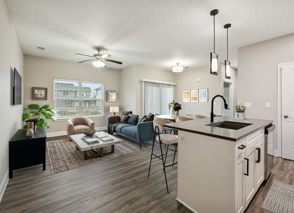 Spacious Living Area With Wood-Style Flooring