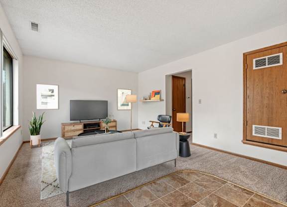 Spacious Living Area with Carpet