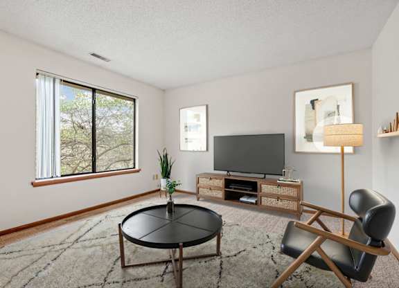Spacious Living Area with Natural Lighting
