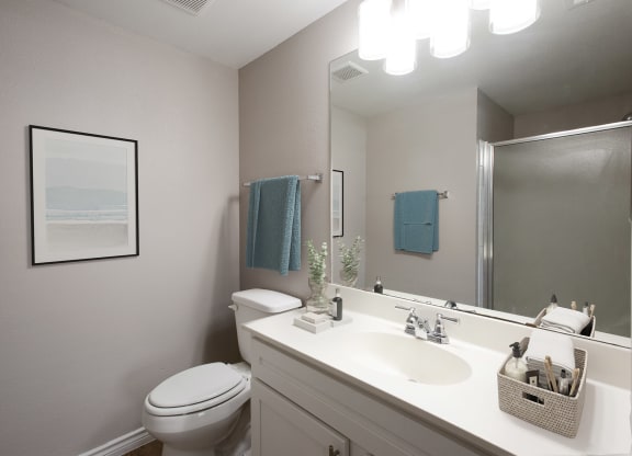 Bathroom at Links at Forest Creek in Round Rock Texas near Austin