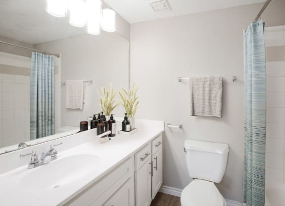 Bathroom at Links at Forest Creek in Round Rock Texas near Austin