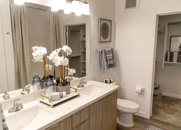 Bathroom at The Aster at Mountain Vista Apartments