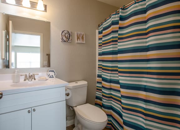 Bathroom at The Bluffs at Tierra Contenta Apartments