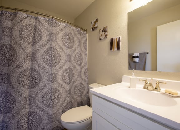 Bathroom Vanity at The Bluffs at Tierra Contenta Apartments