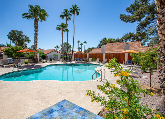 Community Pool at Orange Tree Village Apartments in Tucson AZ
