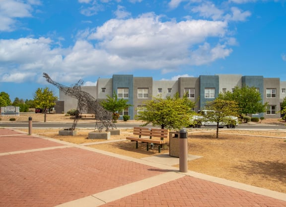 Courtyard Park in Front of The Bluffs at Tierra Contenta Apartments