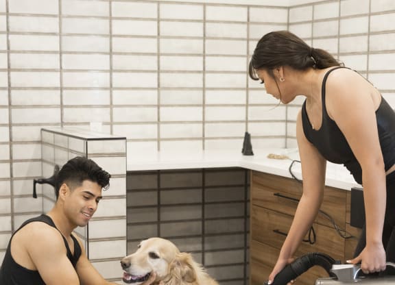 Dog Blow Dryer at Haven at Arrowhead Apartments in Glendale