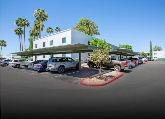 A parking lot with a white building and palm trees in the background.