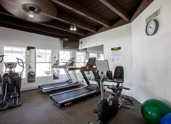 A gym with treadmills, elliptical machines, and a stationary bike.