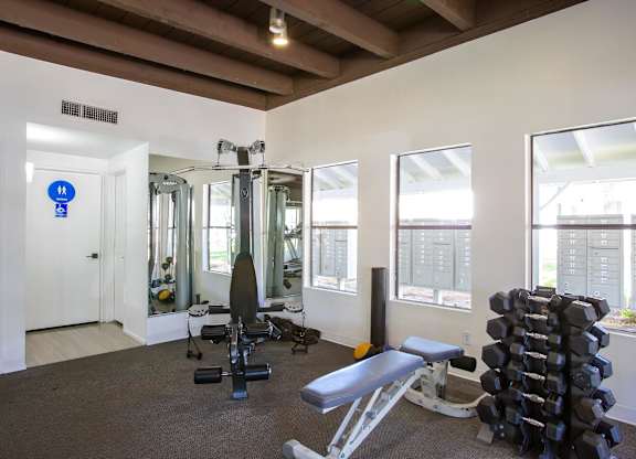 A gym with a variety of equipment including weights and a bench.