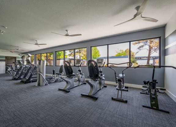 Fitness Equipment at Blue Agave Villas