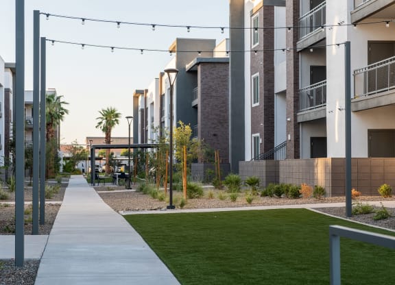Grass Area in courtyard at The Aster at Mountain Vista in Mesa Arizona