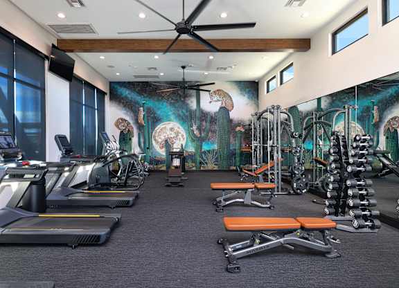 A gym with treadmills, weights, and exercise equipment.